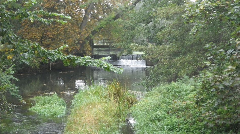 2016-10-30 05 Harleston and Weybread.jpg