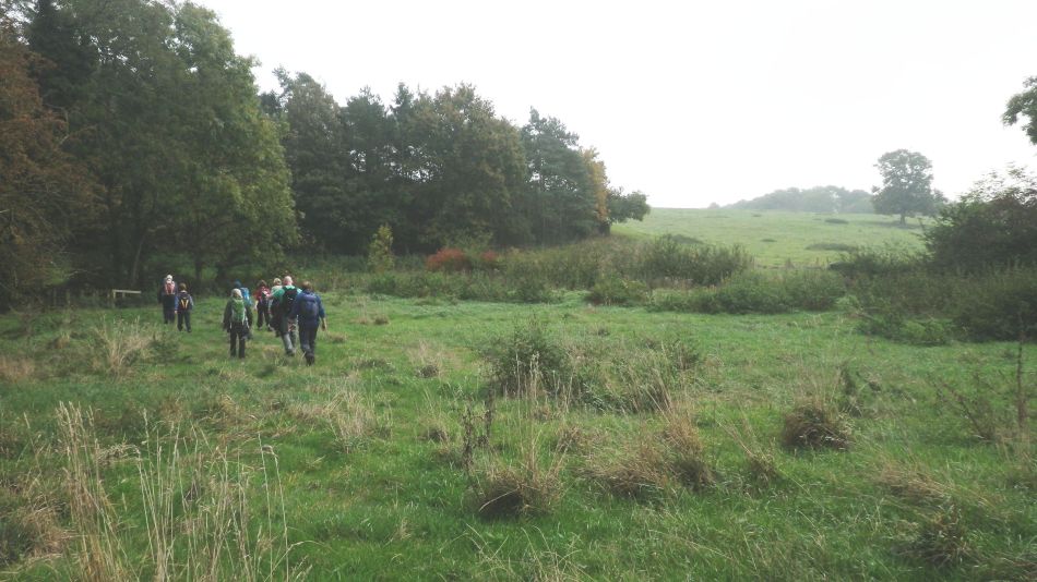 2016-10-30 07 Harleston and Weybread.jpg