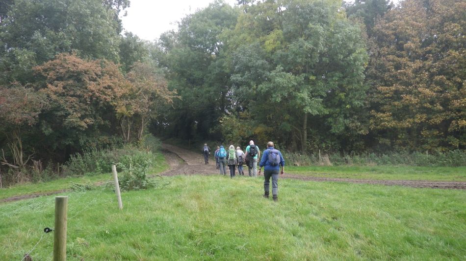 2016-10-30 09 Harleston and Weybread.jpg