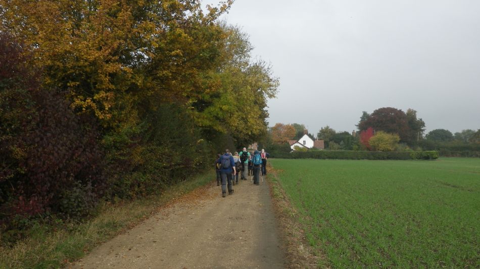 2016-10-30 13 Harleston and Weybread.jpg