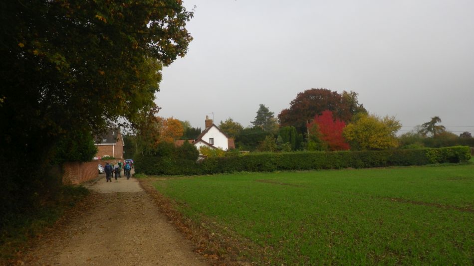 2016-10-30 14 Harleston and Weybread.jpg