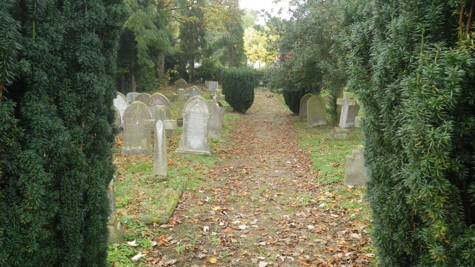 2016-10-30 16 Harleston and Weybread.jpg