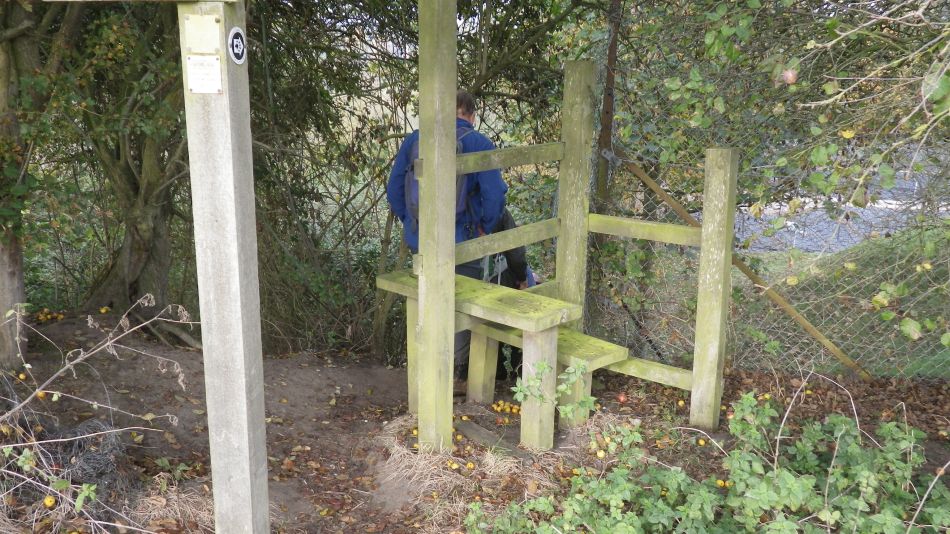 2016-10-30 28 Harleston and Weybread.jpg