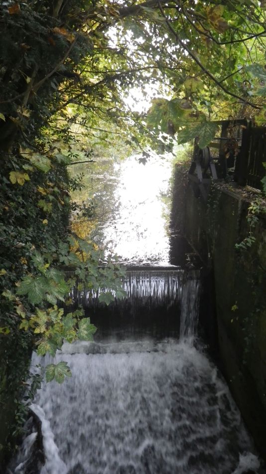 2016-10-30 30 Harleston and Weybread.jpg