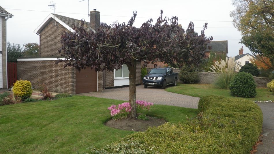 2016-10-30 32 Harleston and Weybread.jpg