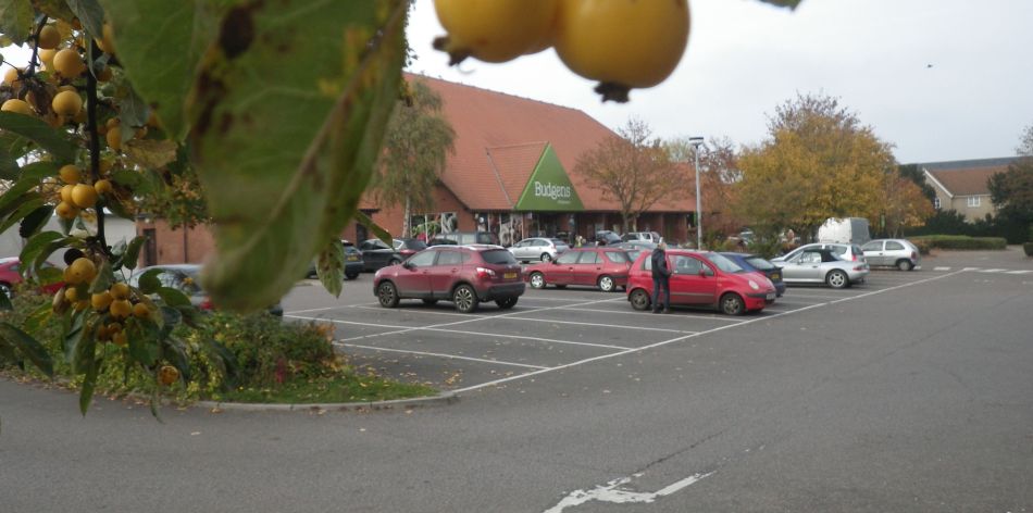 2016-10-30 35 Harleston and Weybread.jpg