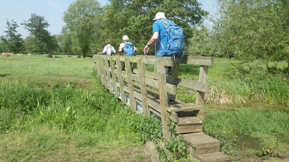 2018-05-27 02 Harleston Weybread Mendham.jpg