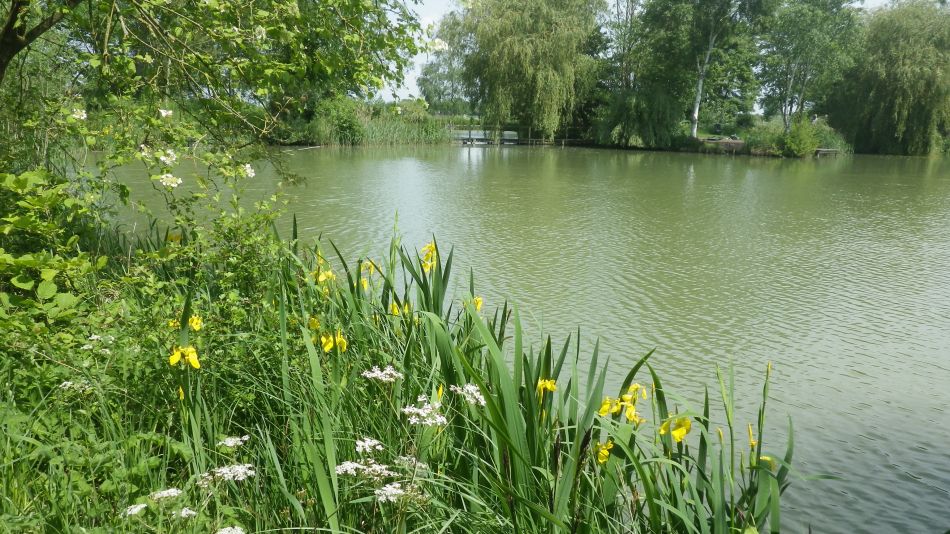 2018-05-27 04 Harleston Weybread Mendham.jpg