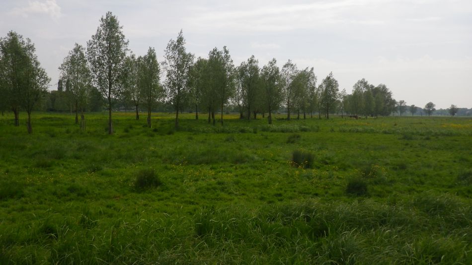 2018-05-27 11 Harleston Weybread Mendham.jpg