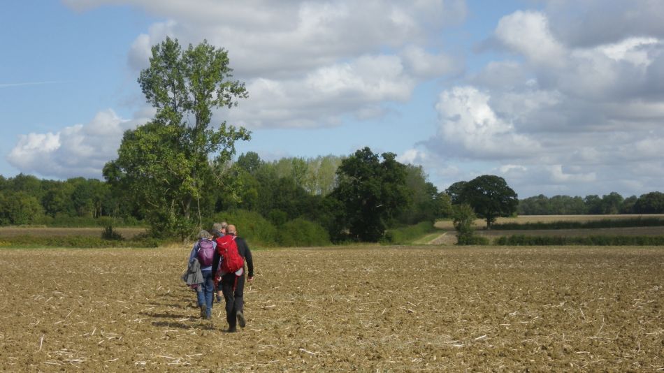 2019-09-08 01 Harleston and Starston.jpg