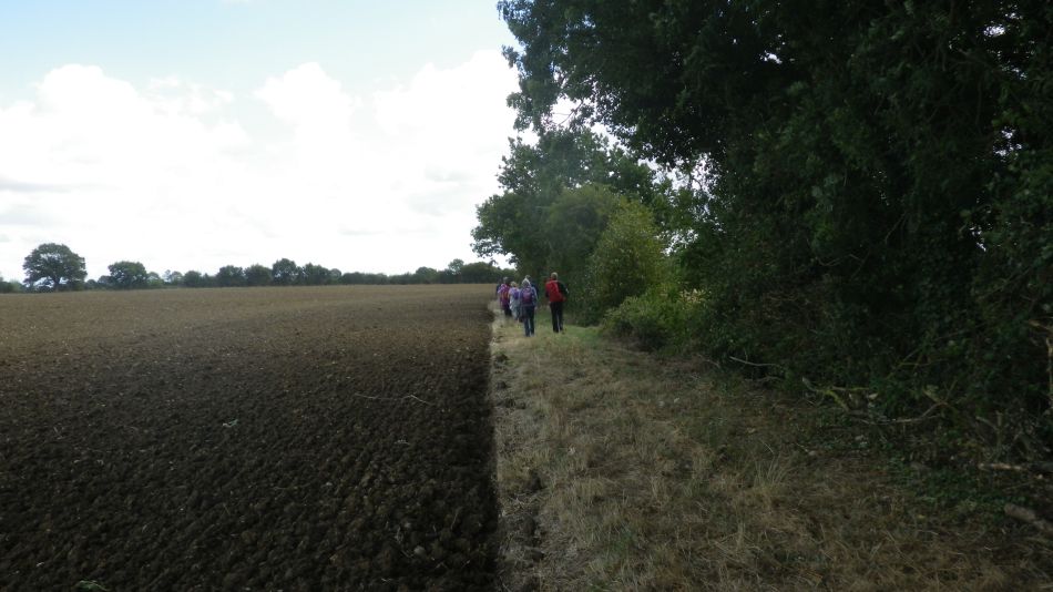 2019-09-08 05 Harleston and Starston.jpg