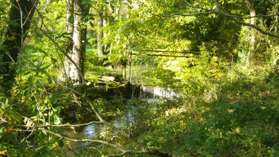 2019-11-10 01 Harleston and Starston.jpg