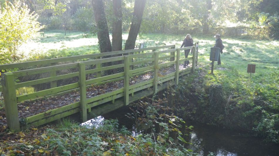 2019-11-10 02 Harleston and Starston.jpg