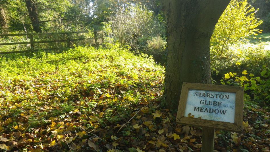 2019-11-10 03 Harleston and Starston.jpg