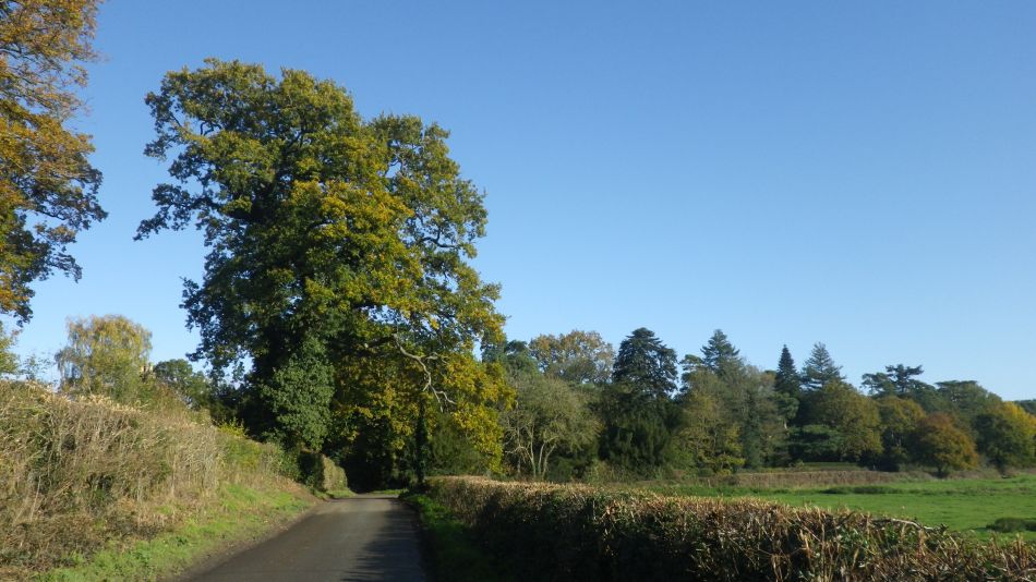 2019-11-10 04 Harleston and Starston.jpg