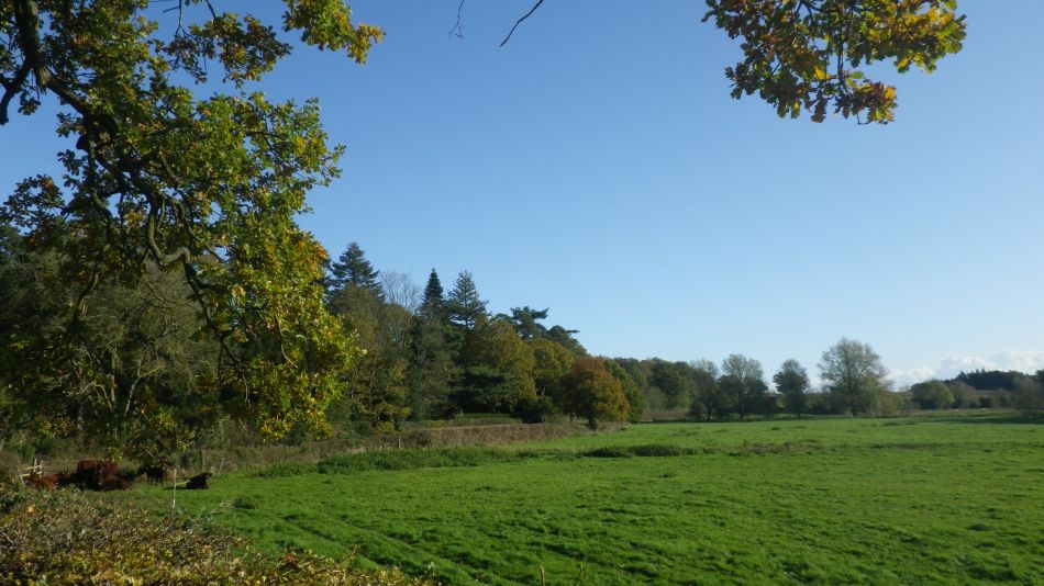 2019-11-10 05 Harleston and Starston.jpg