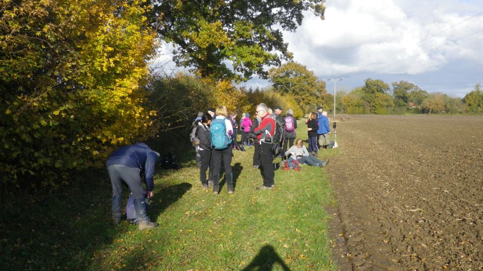 2019-11-10 06 Harleston and Starston.jpg