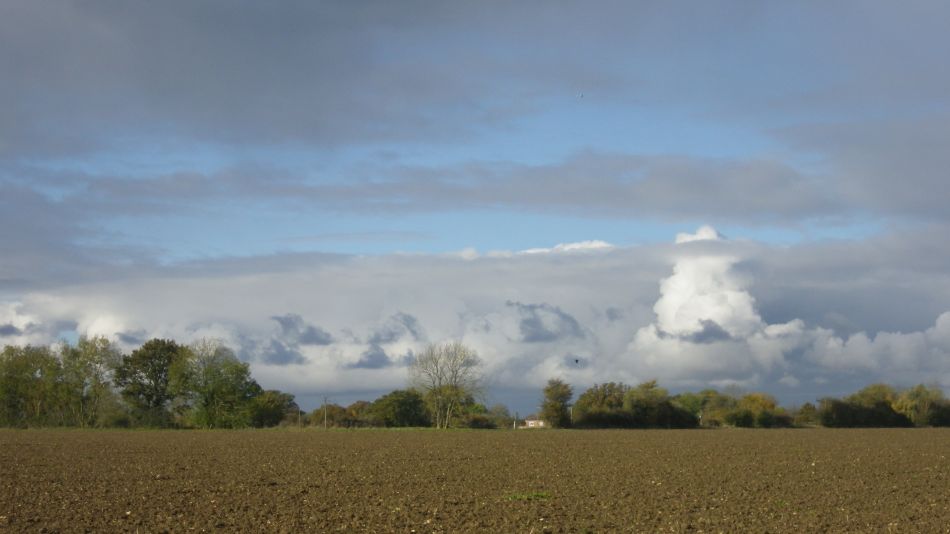 2019-11-10 07 Harleston and Starston.jpg