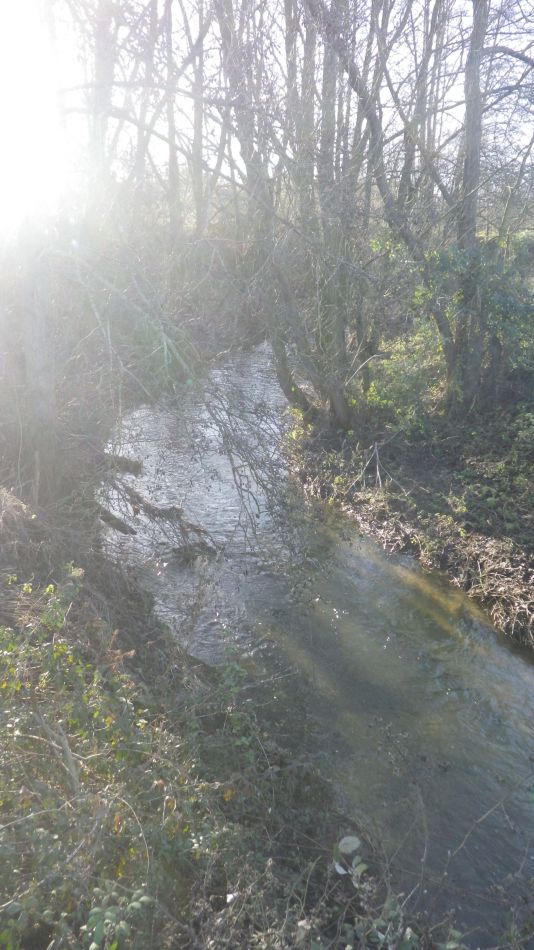 2019-12-15 05 Harleston Redenhall and Alburgh.jpg