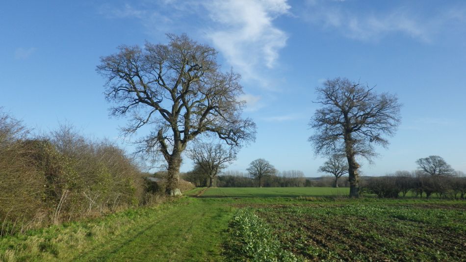 2019-12-15 08 Harleston Redenhall and Alburgh.jpg