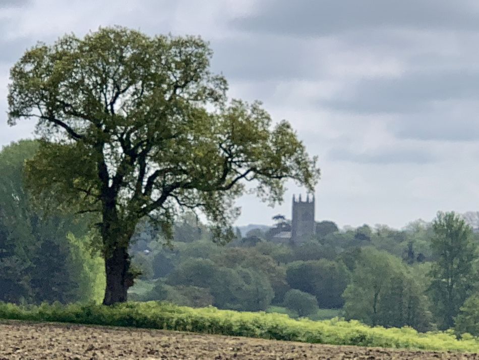 2023-05-14 01 Alburgh Trees Greens and Streams.jpg
