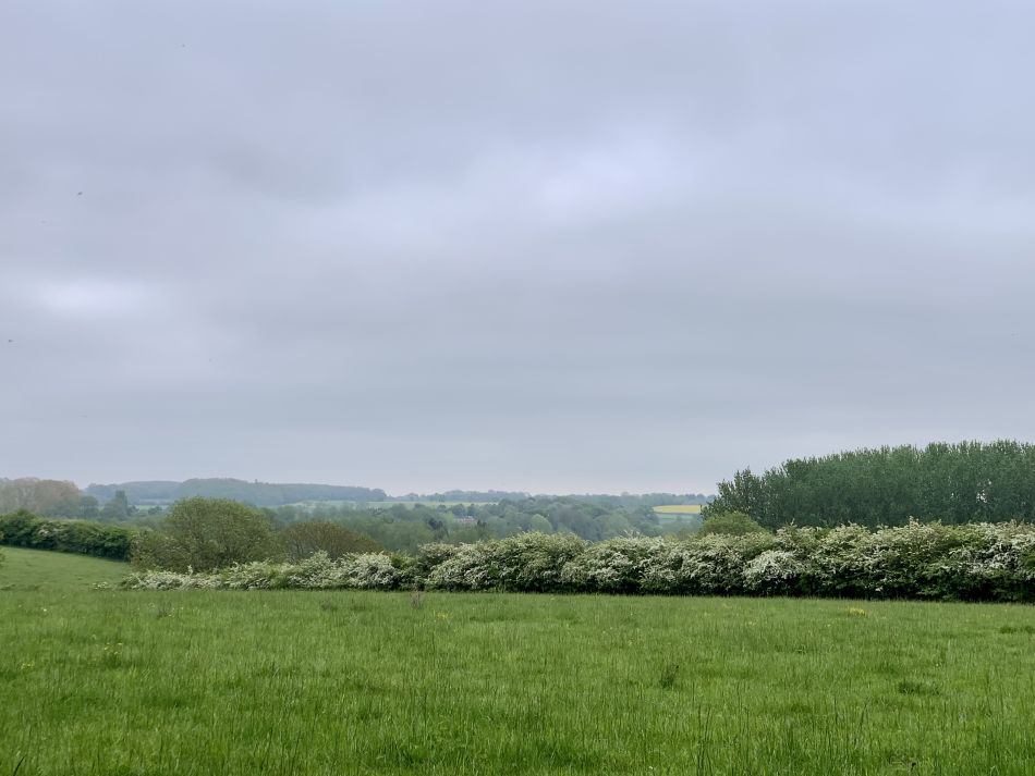 2023-05-14 03 Alburgh Trees Greens and Streams.jpg