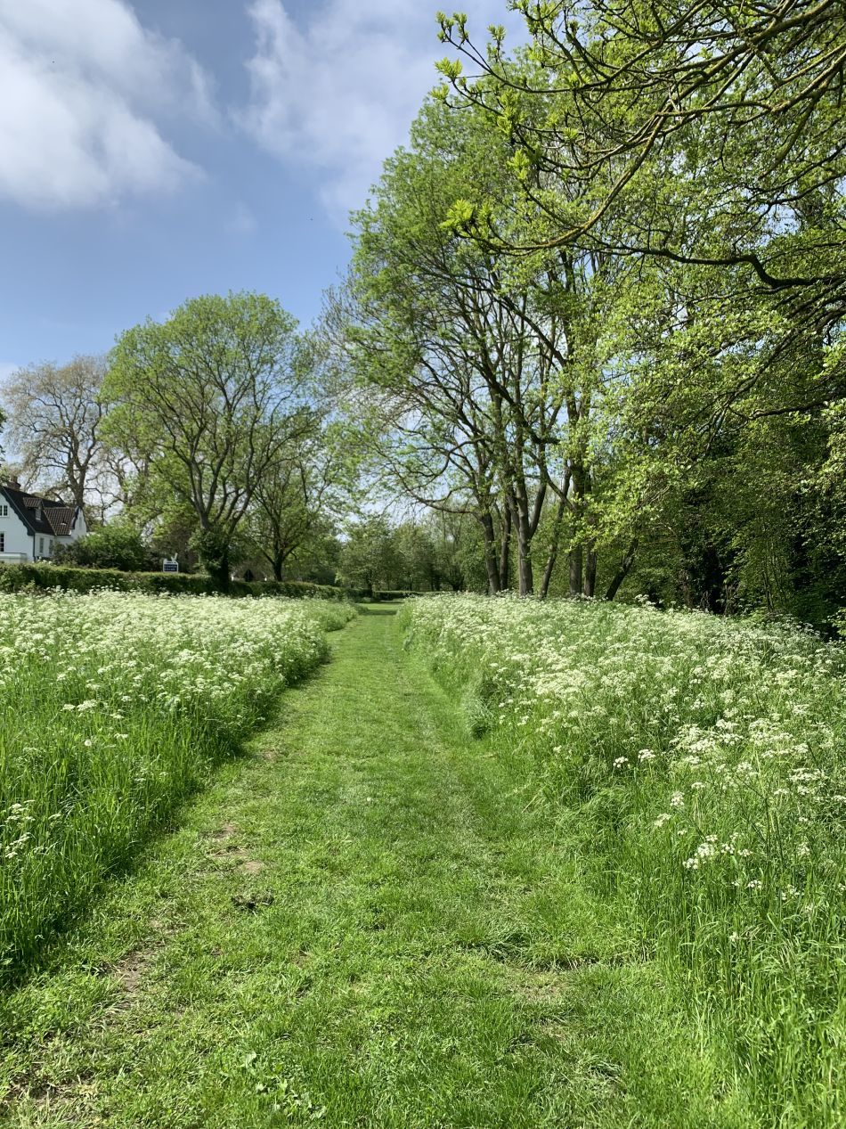 2023-05-14 05 Alburgh Trees Greens and Streams.jpg