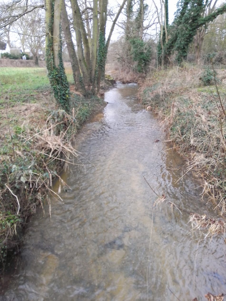 2024-01-14 07 Pulham Saint Mary.jpg