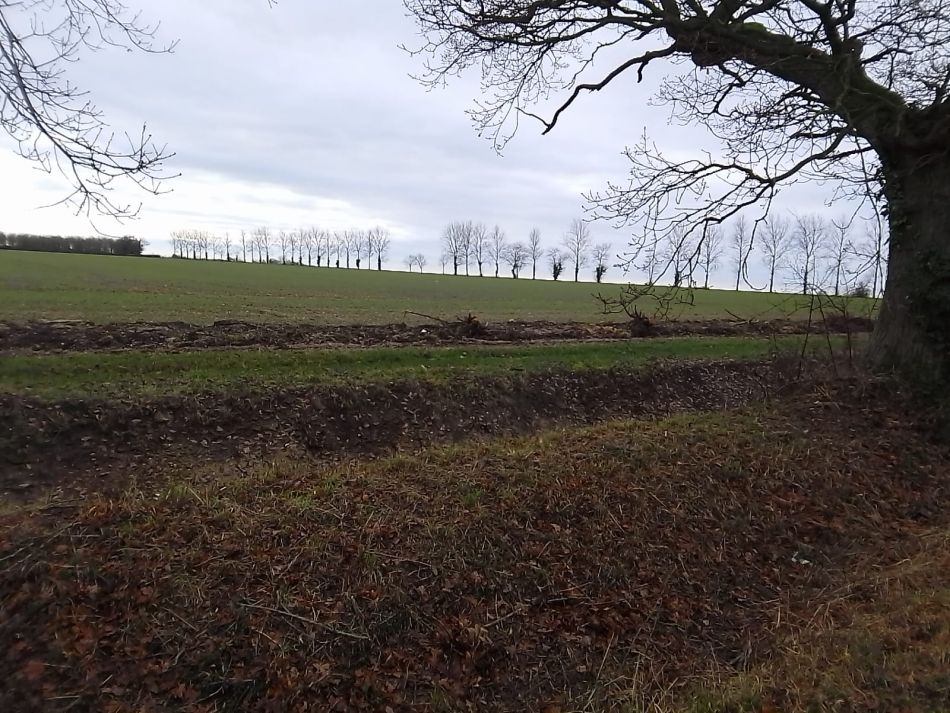 2024-01-14 09 Pulham Saint Mary.jpg