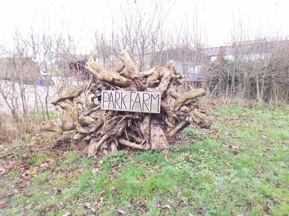 2024-01-14 15 Pulham Saint Mary.jpg