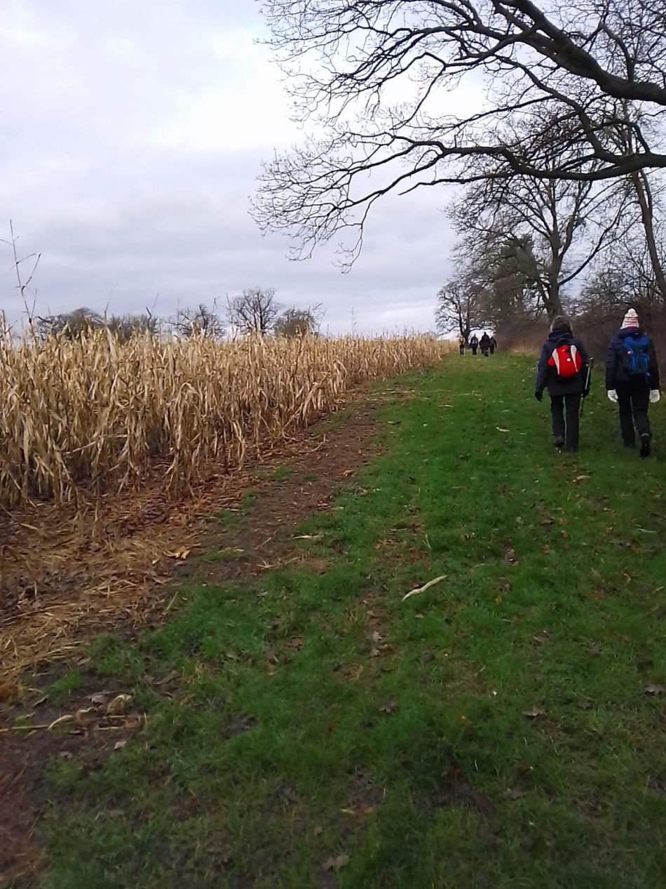 2024-01-14 17 Pulham Saint Mary.jpg