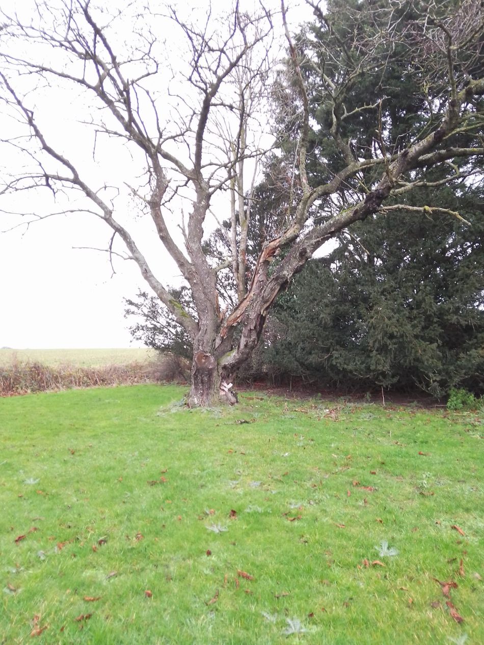 2024-01-14 18 Pulham Saint Mary.jpg