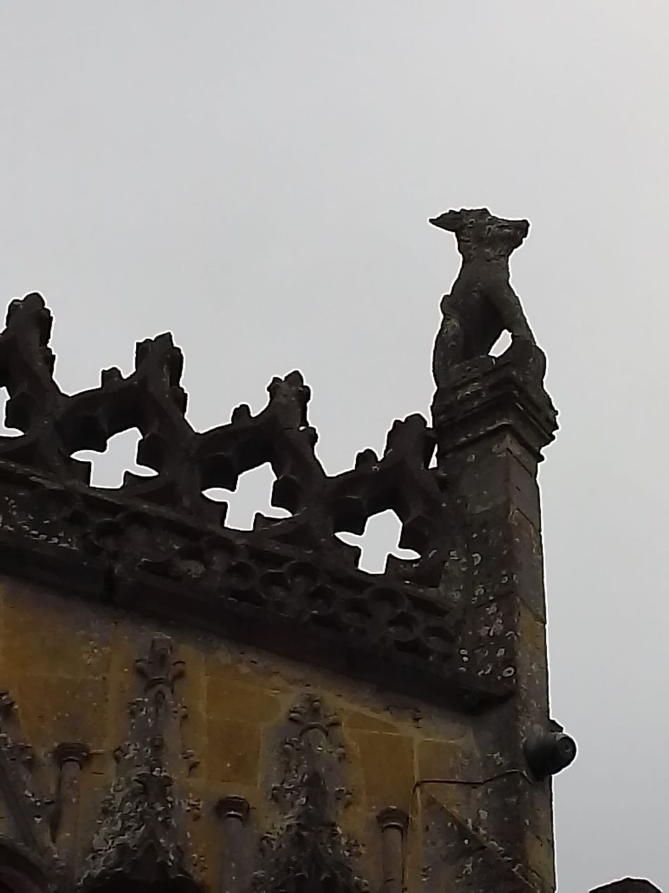 2024-01-14 23 Pulham Saint Mary.jpg