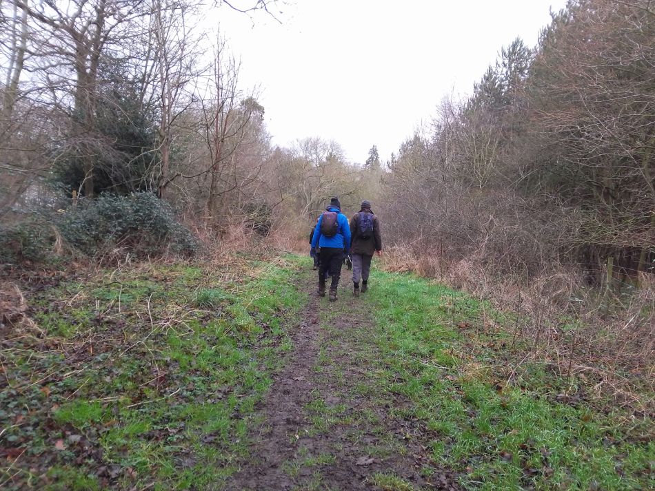 2024-01-14 32 Pulham Saint Mary.jpg