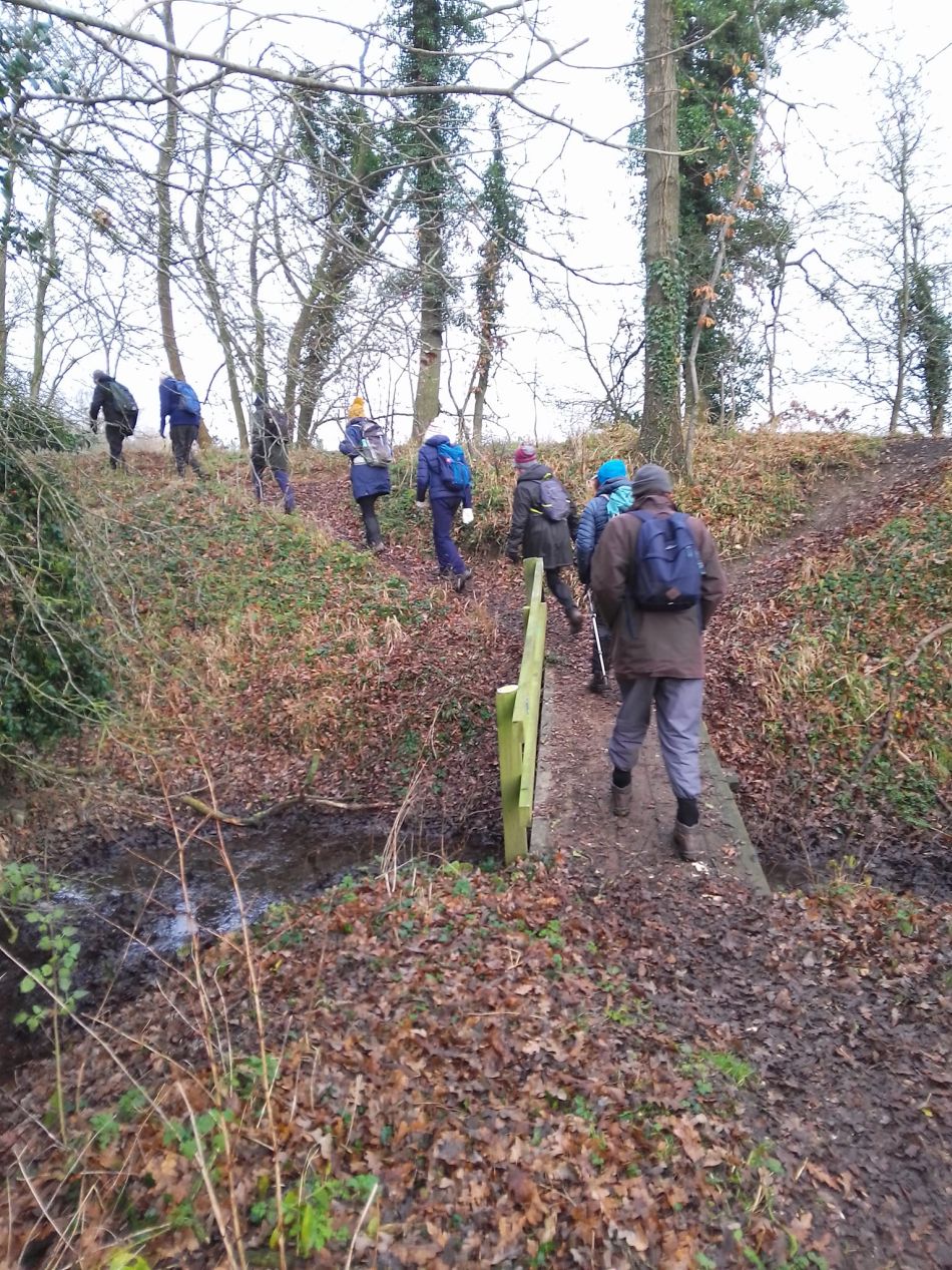 2024-01-14 35 Pulham Saint Mary.jpg