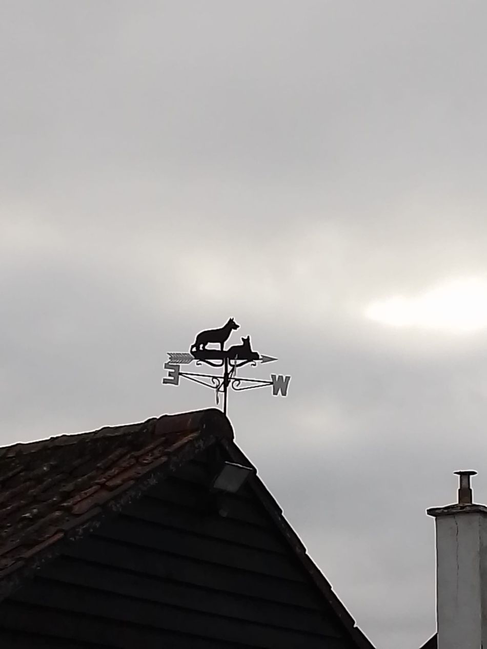 2024-01-14 40 Pulham Saint Mary.jpg