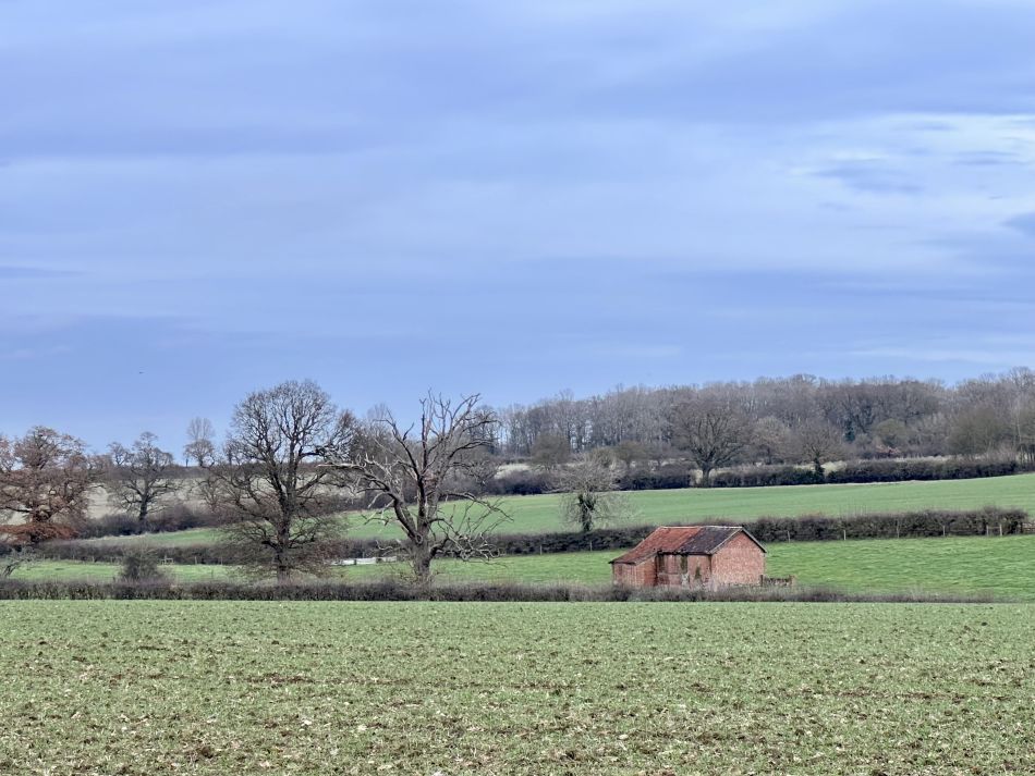 2024-01-14 43 Pulham Saint Mary.jpg