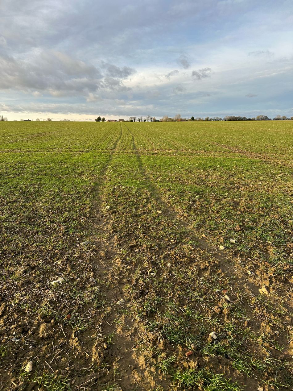 2024-01-14 47 Pulham Saint Mary.jpg