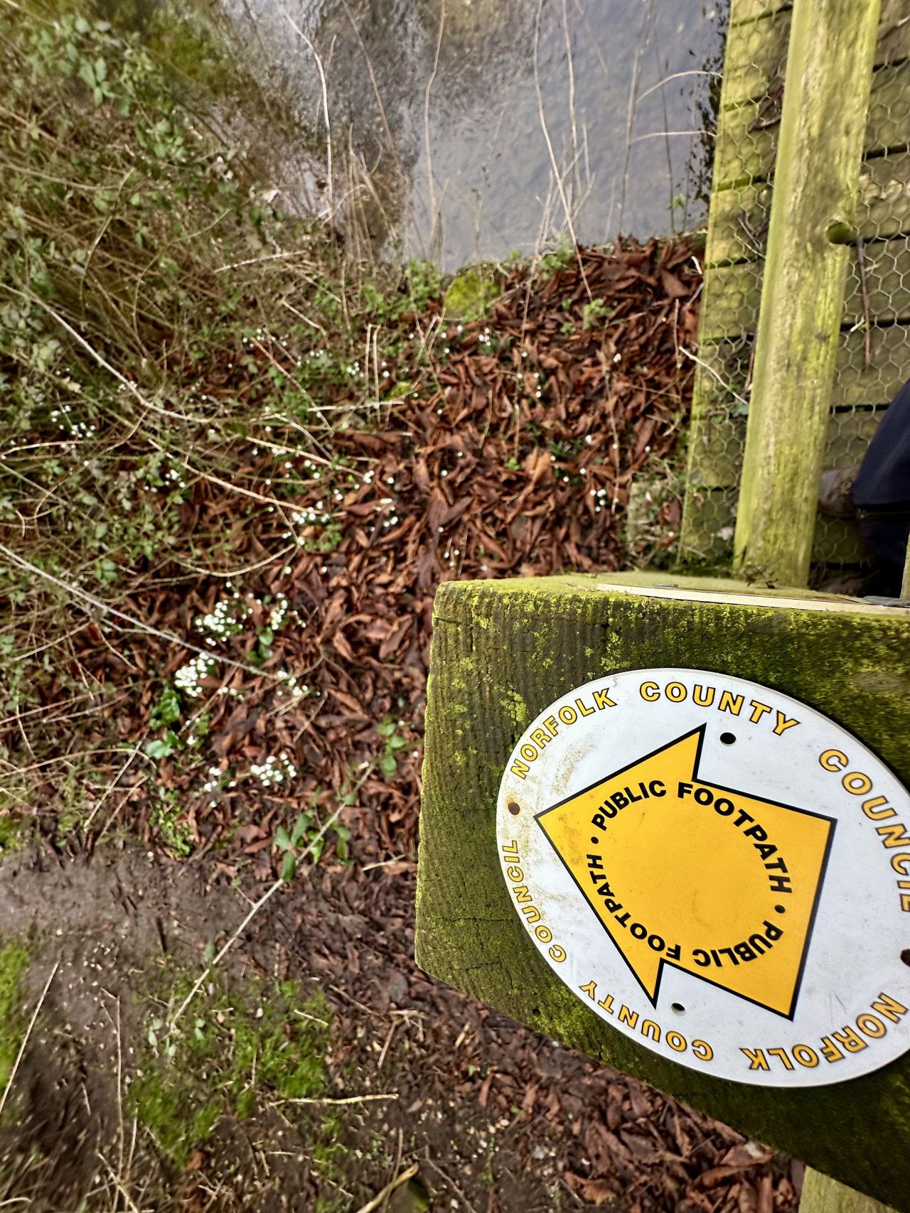 2025-02-16 03 Harleston and Needahm.jpg