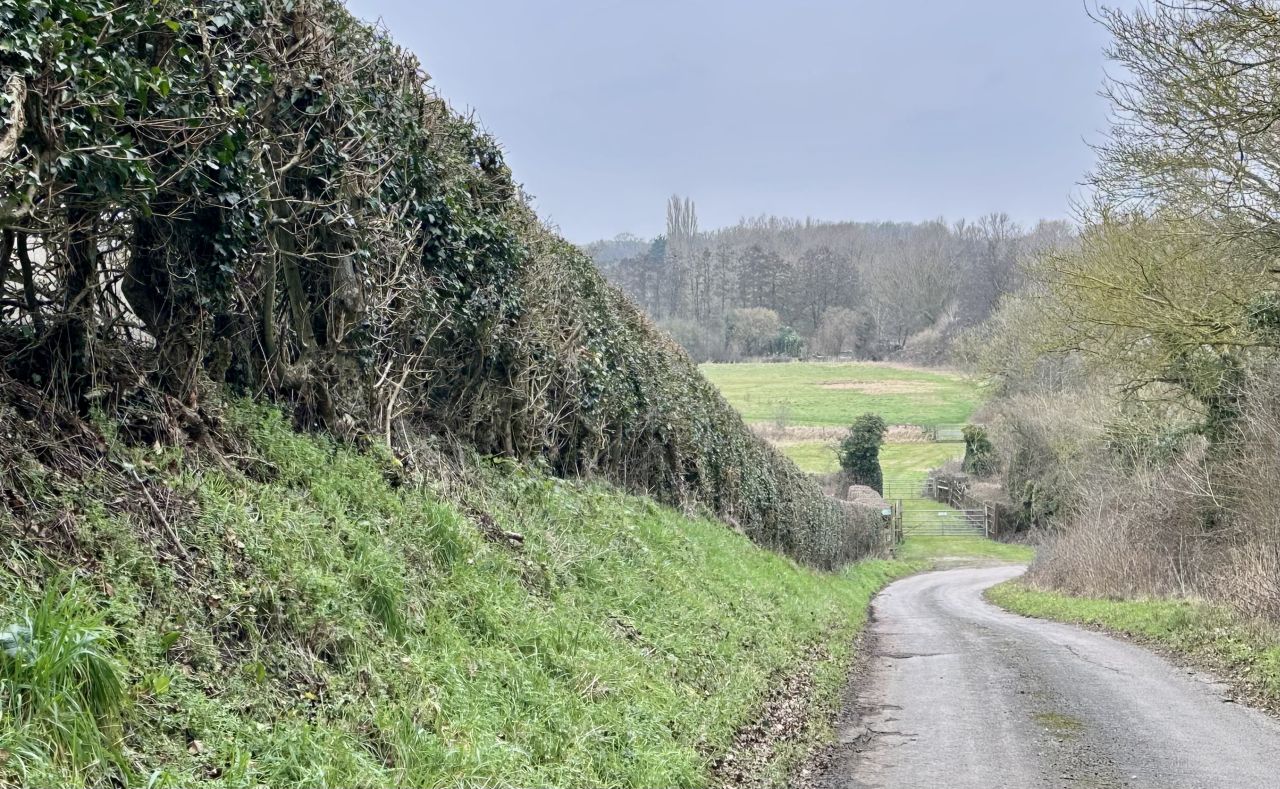 2025-02-16 04 Harleston and Needahm.jpg