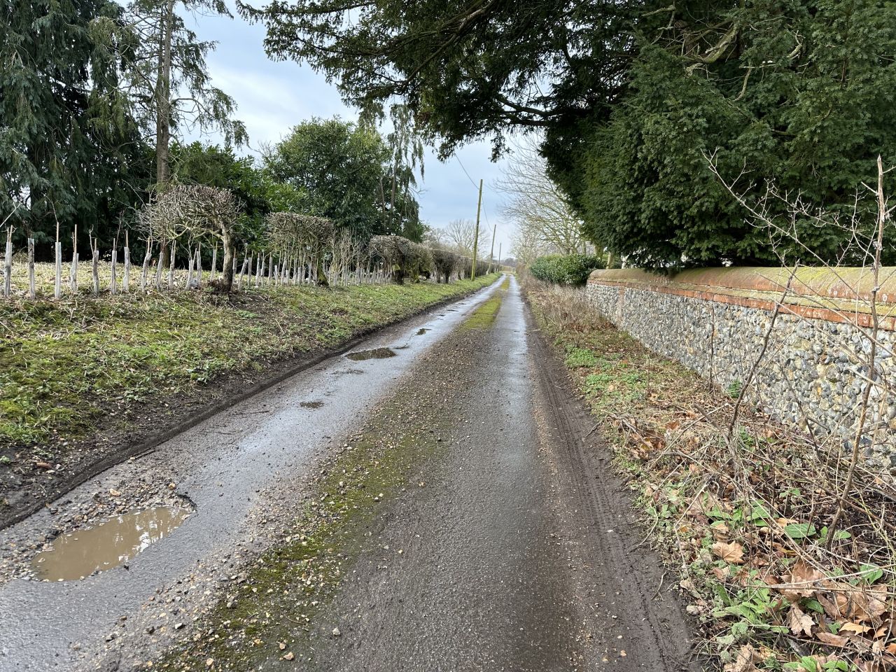 2025-02-16 08 Harleston and Needahm.jpg