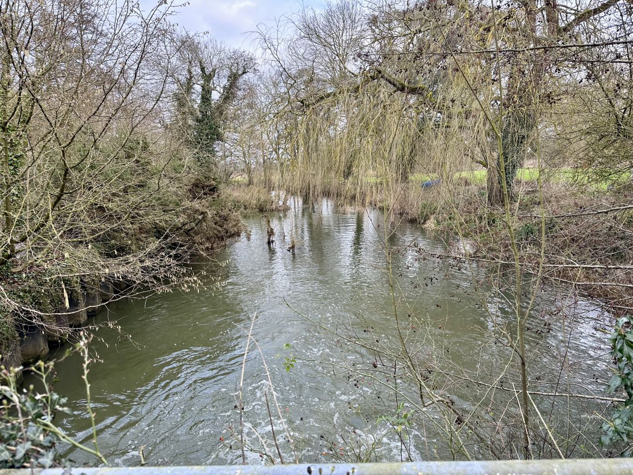 2025-02-16 13 Harleston and Needahm.jpg