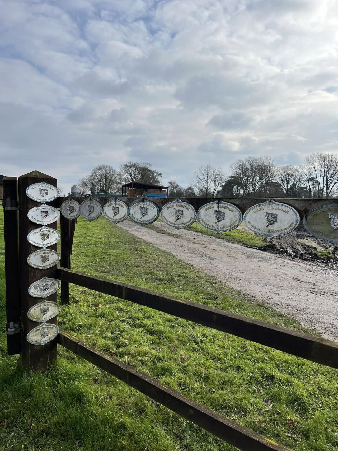 2025-02-16 22 Harleston and Needahm.jpg