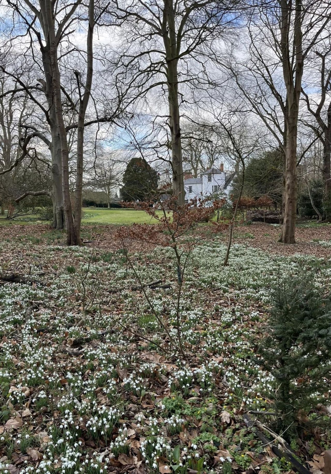 2025-02-16 25 Harleston and Needahm.jpg