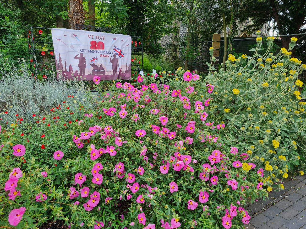 2025-05-29 04 Bus 81 Harleston Bus Stop.jpg