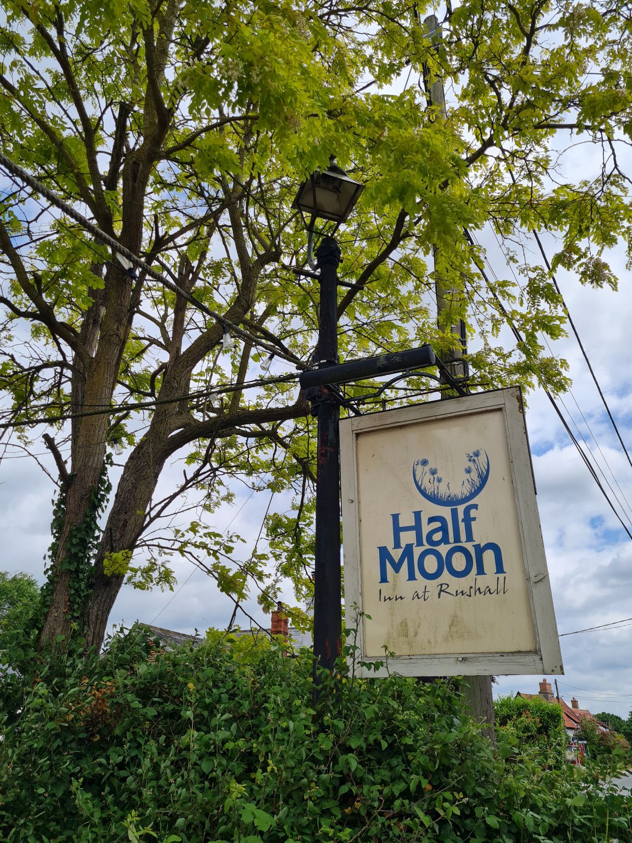 2025-05-29 34 Bus 81 Rushall Half Moon.jpg