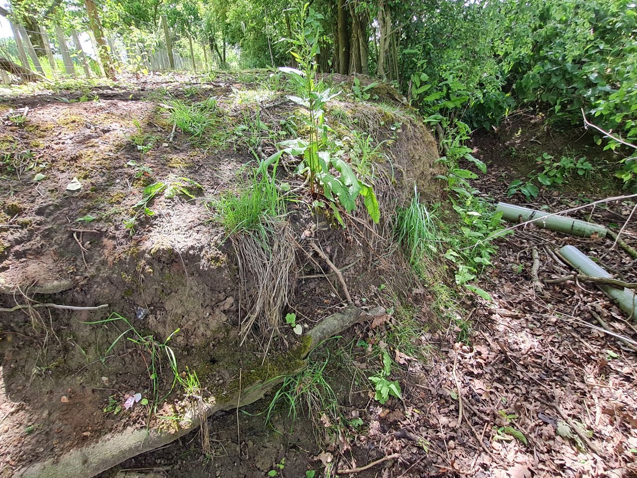 2025-05-29 38 Bus 81 Missing Sleeper Bridge.jpg