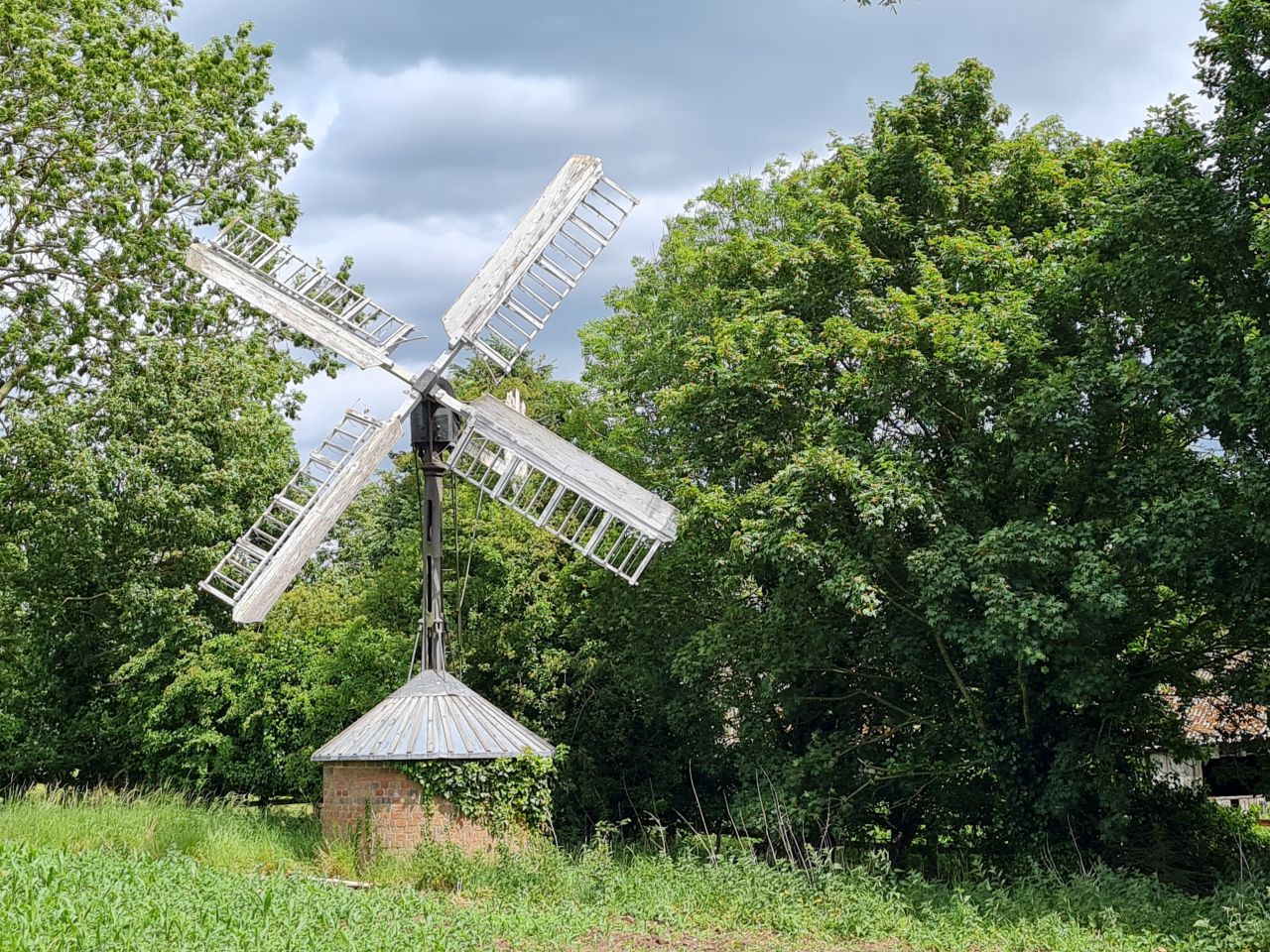 2025-05-29 43 Bus 81 Brockdish Rushall Starston Harleston.jpg