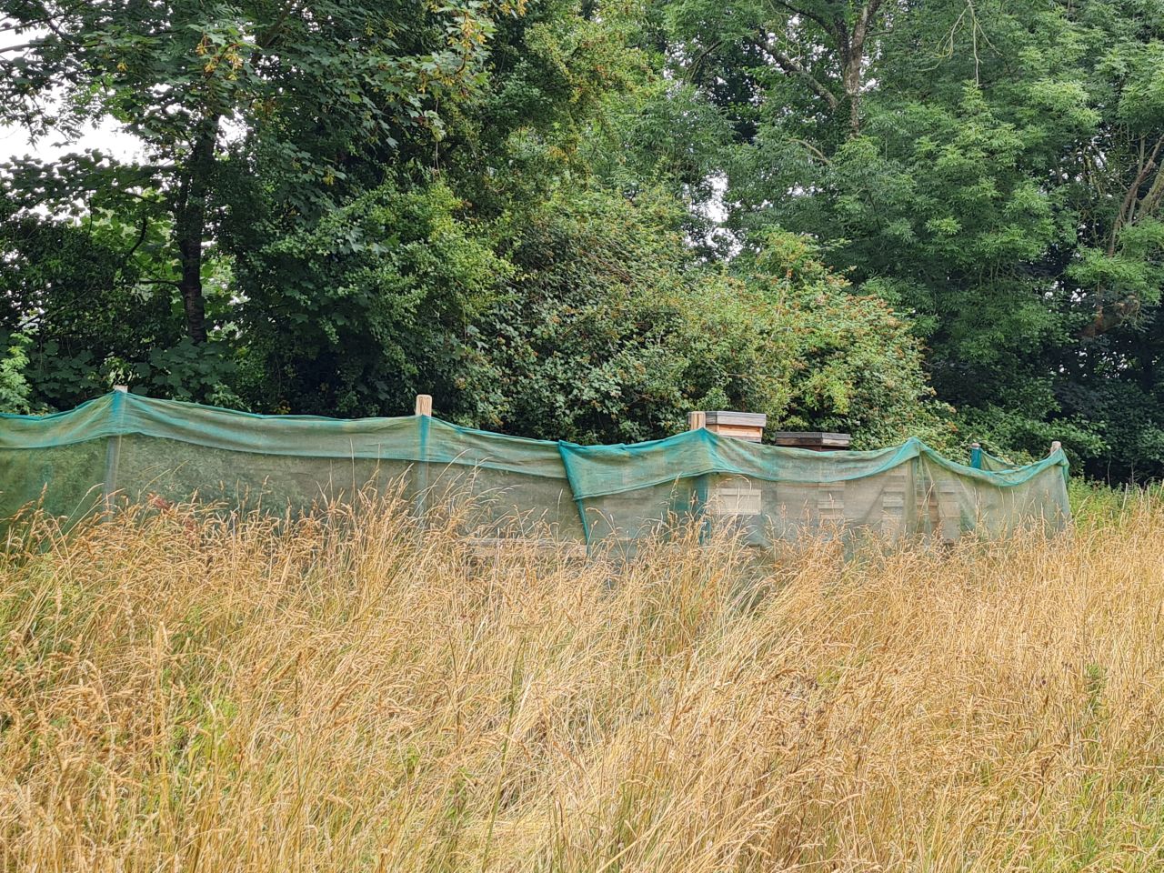 2025-07-19 02 Harleston Redenhall Mendham and Starston.jpg