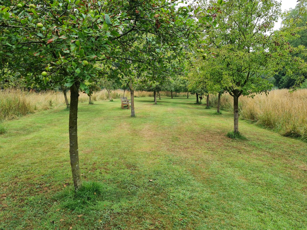 2025-07-19 07 Harleston Redenhall Mendham and Starston.jpg
